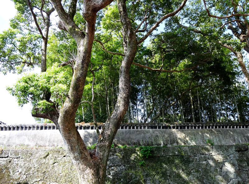 石田城(福江城)