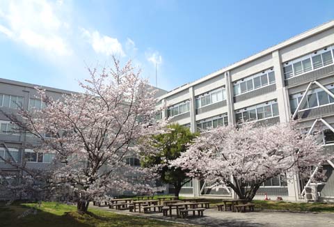 岡山大学の桜2012