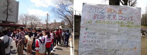 岡山大学の桜2012