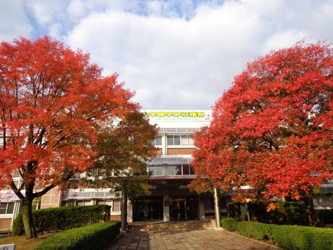 岡山大学キャンパスの秋