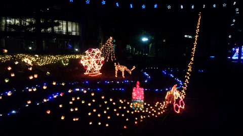 岡山大学のクリスマス
