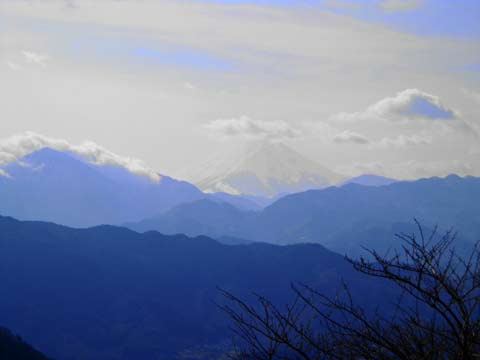 高尾山からみる富士