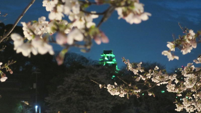夜桜　岡山城